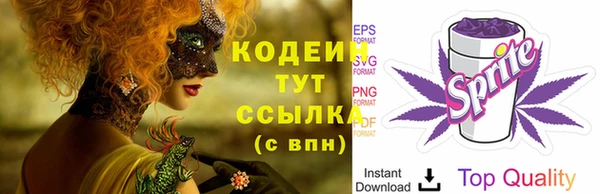 спиды Абаза
