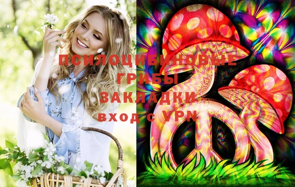 амф Алексеевка